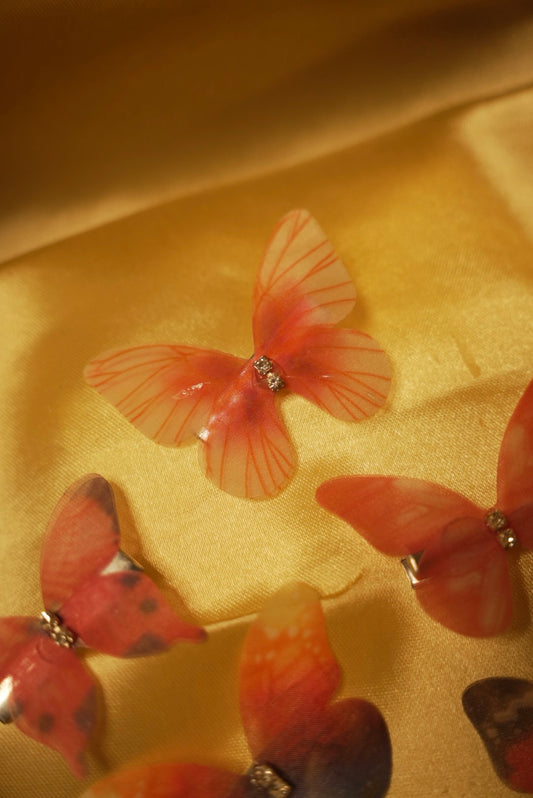 Butterfly Clips ( Set of 5 )