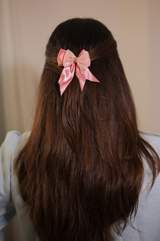 Barbie Pink Ribbon & Net Bow ( Set of 1 Bow )