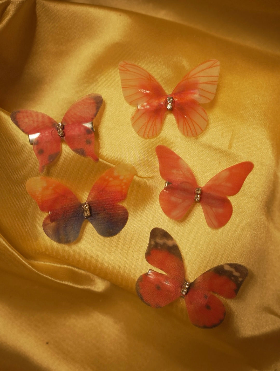 Butterfly Clips ( Set of 5 )