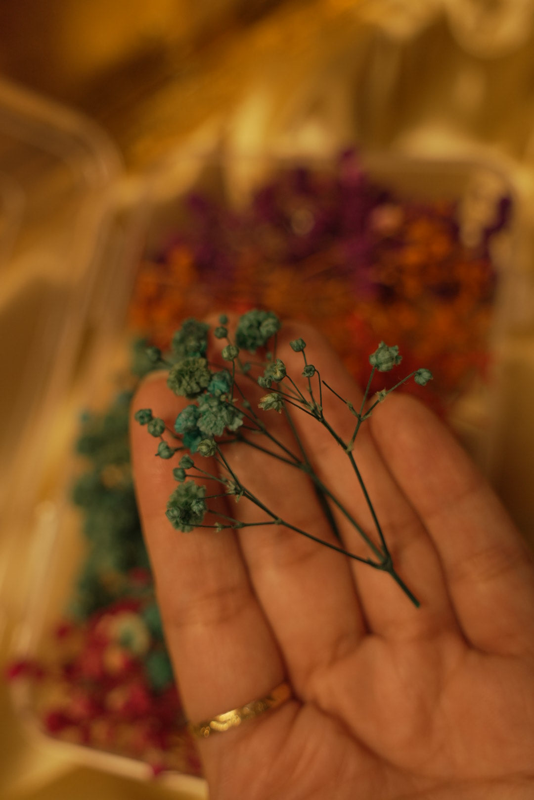 Colourful Gypsy Flower Box